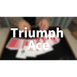 Triumph Ace By Miku W