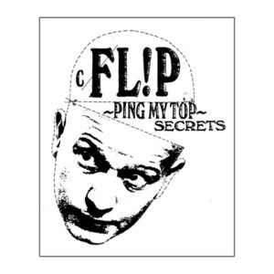 Flipping My Top Secrets by Flip Hallema