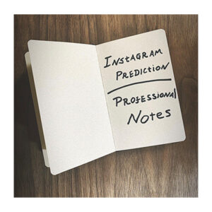 Instagram Prediction - Pro Notes by Joe Diamond
