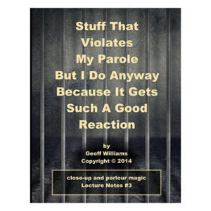 Stuff That Violates My Parole by Geoff Will