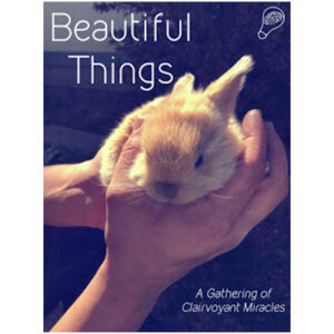 Beautiful Things by Jerome Finley