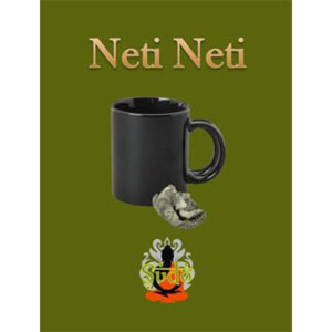 Neti Neti by Sudo Nimh